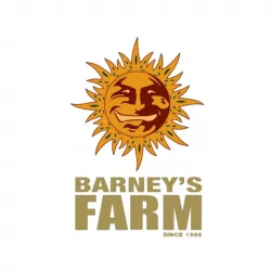 Pack Découverte SeedBank – Barneys Farm Exclusive