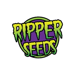 Pack Découverte Seedbanks : Ripper Seeds