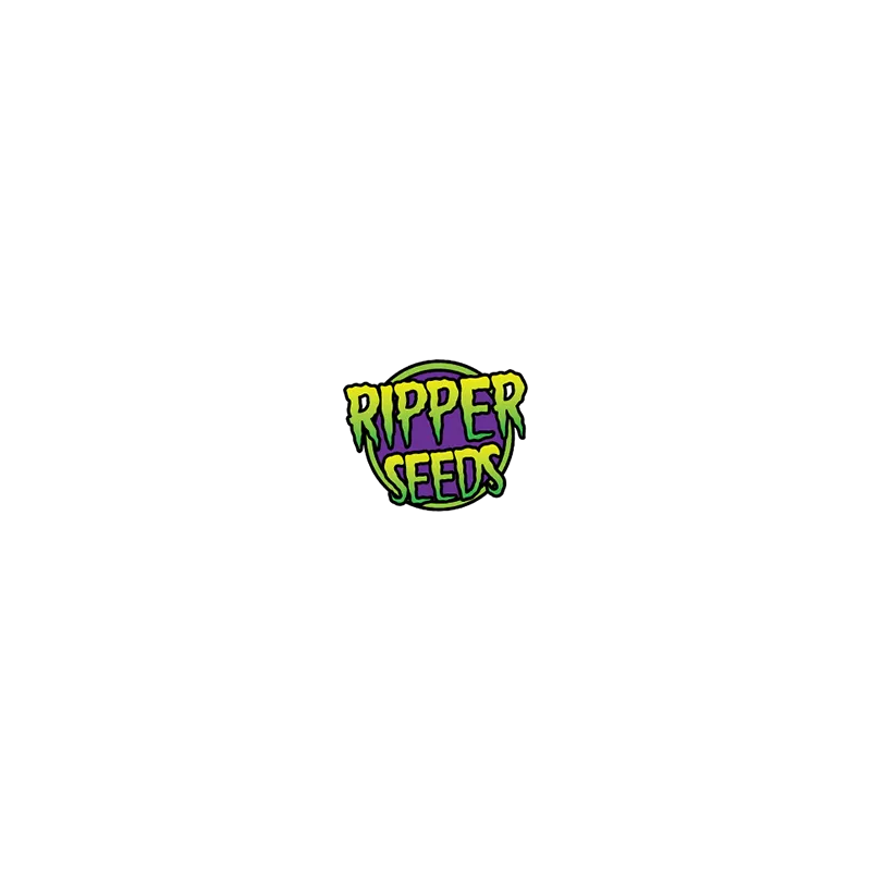 GMO x RuntZ - Ripper Seeds