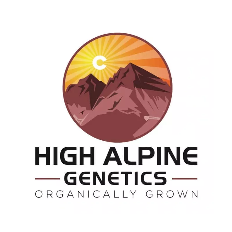 Bomb Cyclone - High Alpine Genetics - Les jardins de bouddha
