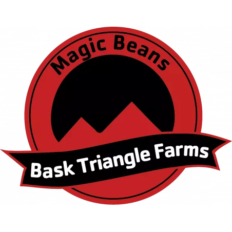 Forbidden Push Pop – Féminisée Bask Triangle Farms | Forbidden Fruit × Push Pop, arômes bonbon, < 9 semaines