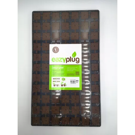 Eazy plug 77 cubes germination bouturage Les jardins de Bouddha
