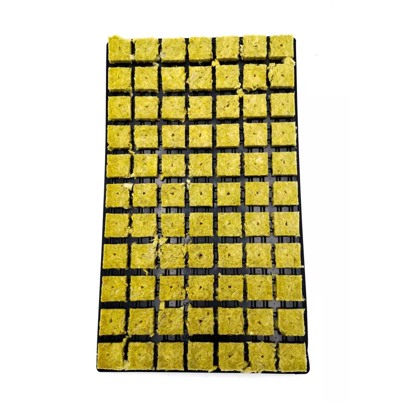 Plate 77 rock wool cubes - Les jardins de Bouddha