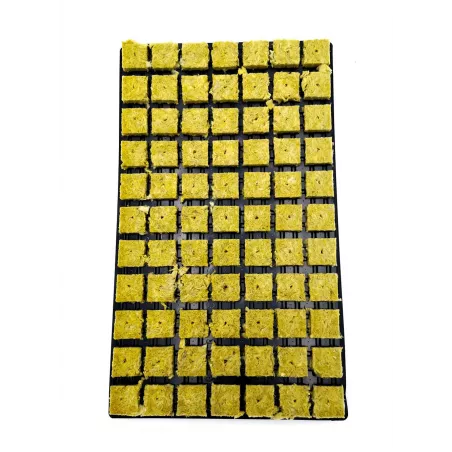 Plate 77 rock wool cubes - Les jardins de Bouddha