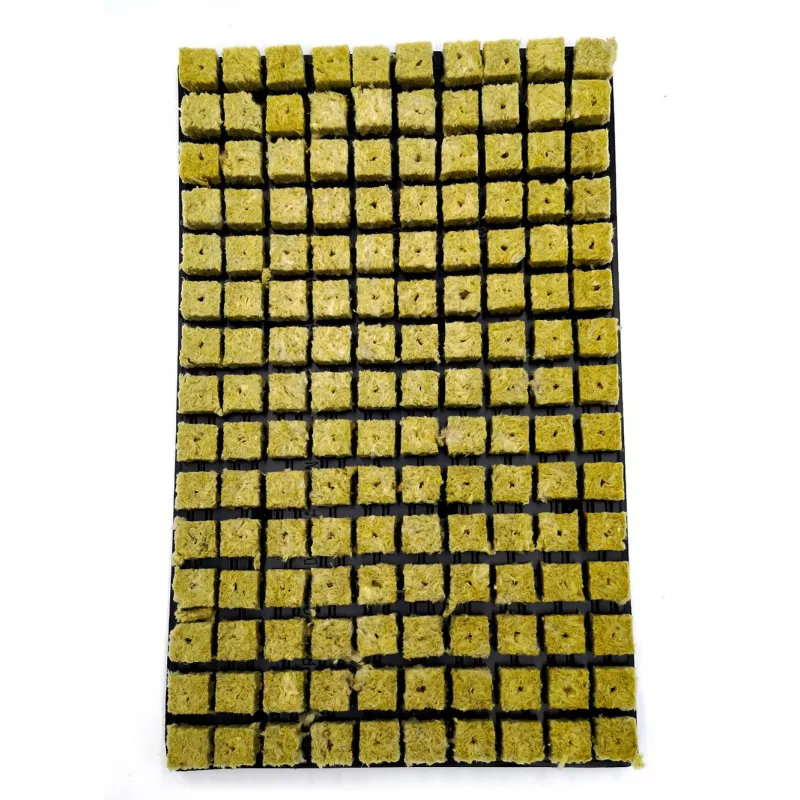 Plate 150 rock wool cubes - Les jardins de Bouddha