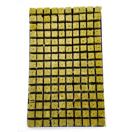 Plate 150 rock wool cubes - Les jardins de Bouddha