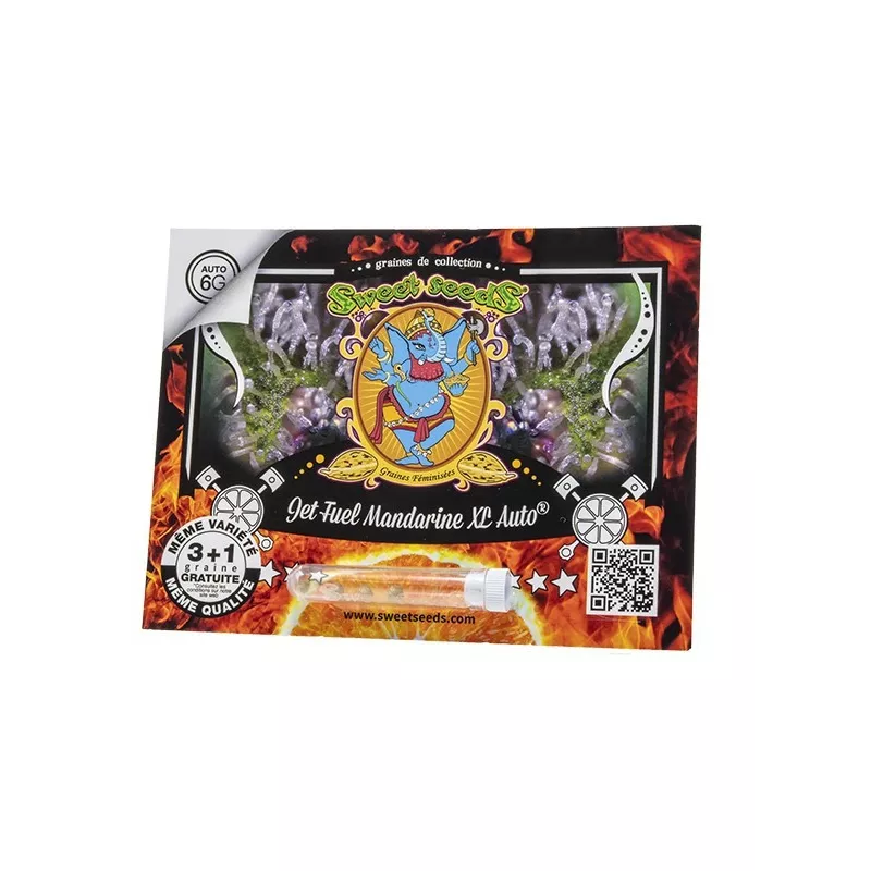 Jet Fuel Mandarine XL AUTO – Autoflowering Sweet Seeds