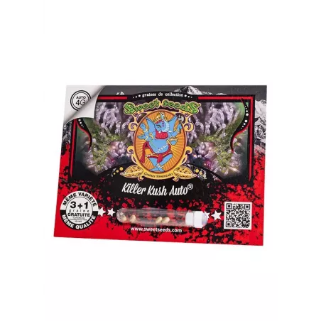 Killer Kush AUTO – Autofloraison Sweet Seeds