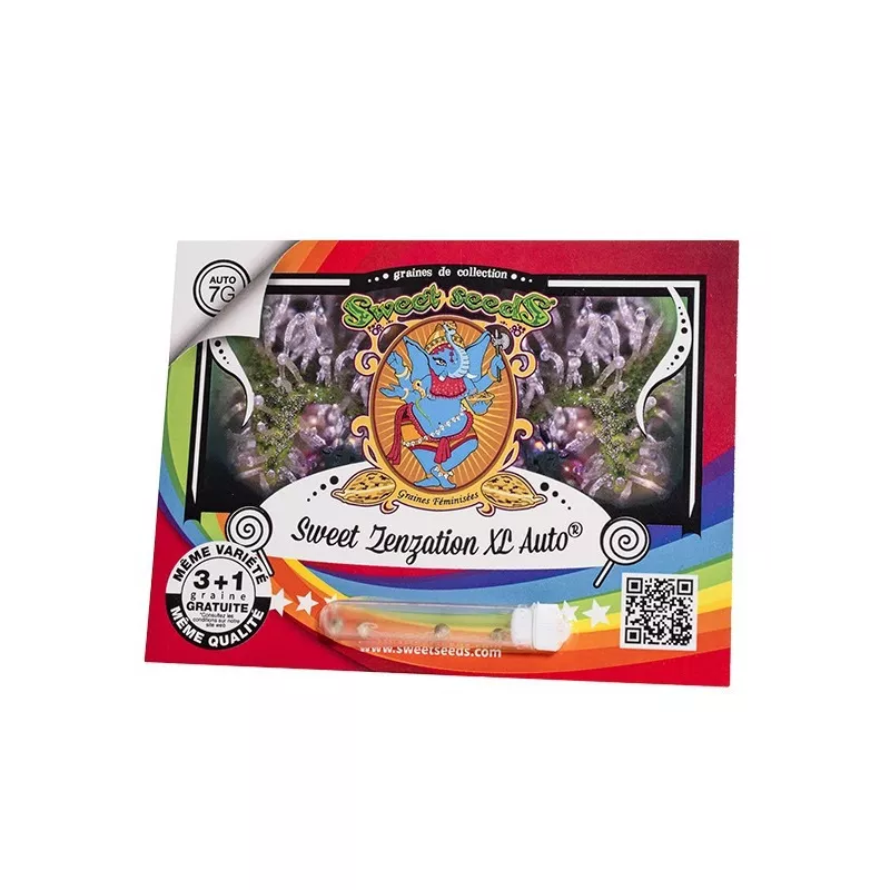 Sweet Zenzation XL AUTO – Autoflowering Sweet Seeds