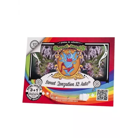 Sweet Zenzation XL AUTO – Autoflowering Sweet Seeds