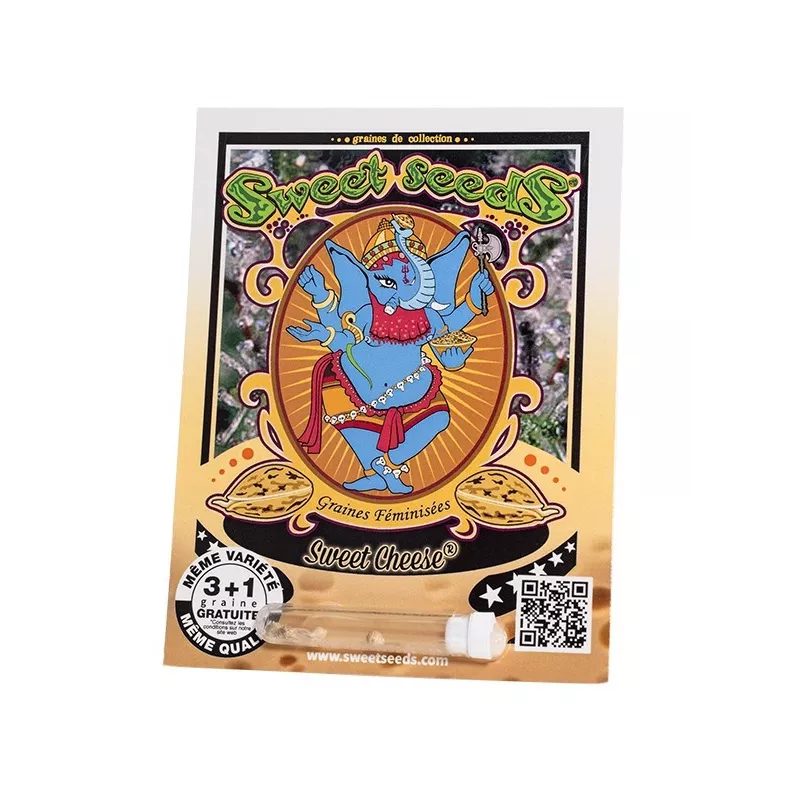 Sweet Cheese – Feminized Sweet Seeds