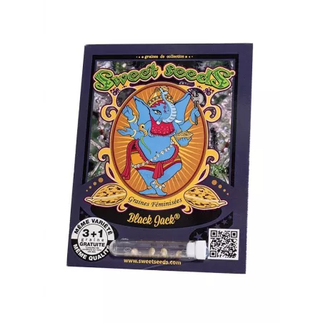 Black Jack – Feminized Sweet Seeds