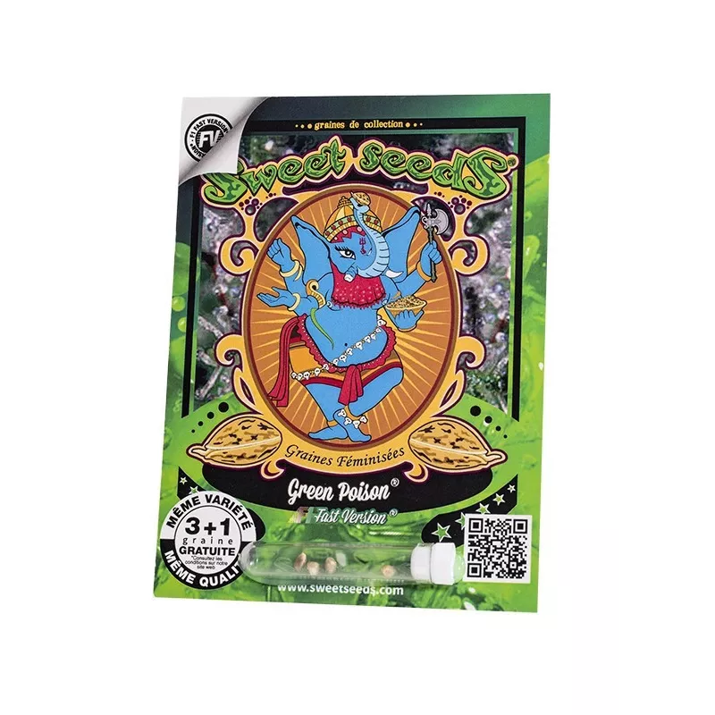 Green Poison F1 Fast Version – F1 Fast Version Sweet Seeds