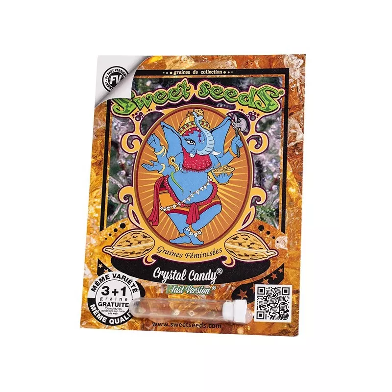 Crystal Candy F1 Fast Version – F1 Fast Version Sweet Seeds
