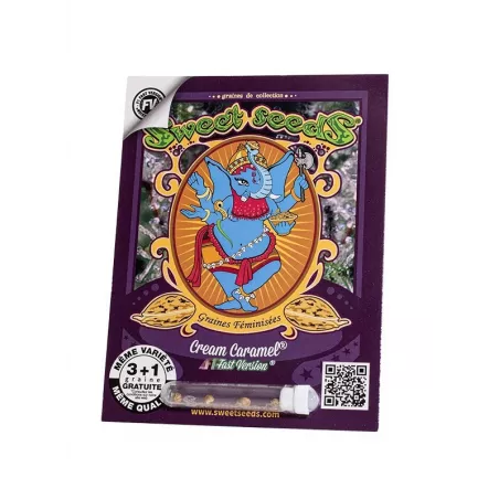Cream Caramel F1 Fast Version – F1 Fast Version Sweet Seeds