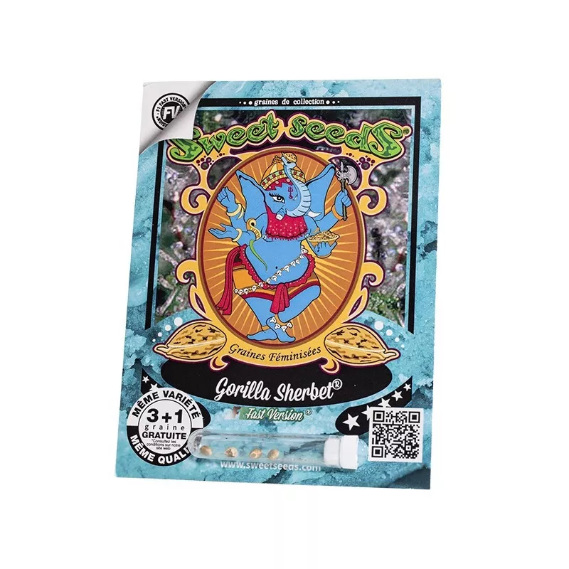 Gorilla Sherbet F1 Fast Versio – F1 Fast Version Sweet Seeds