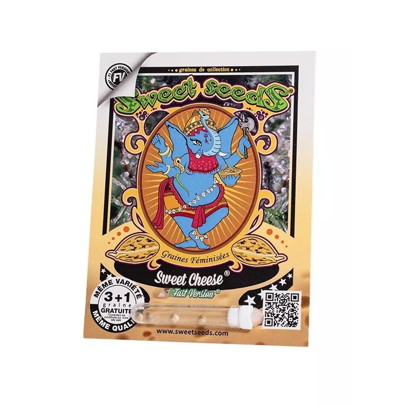 Sweet Cheese F1 Fast Version – F1 Fast Version Sweet Seeds