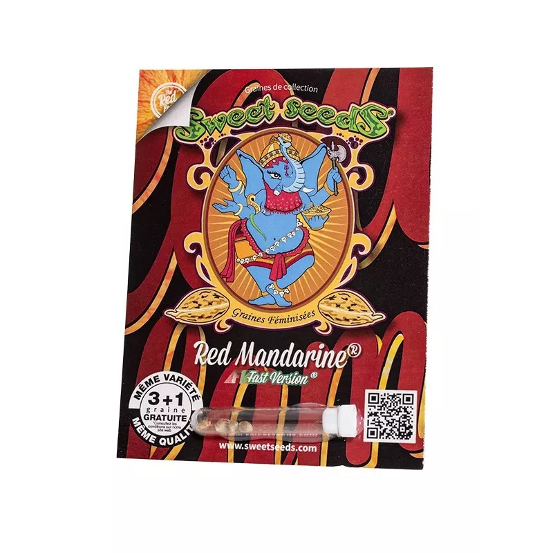 Red Mandarine F1 Fast Version – F1 Fast Version Sweet Seeds
