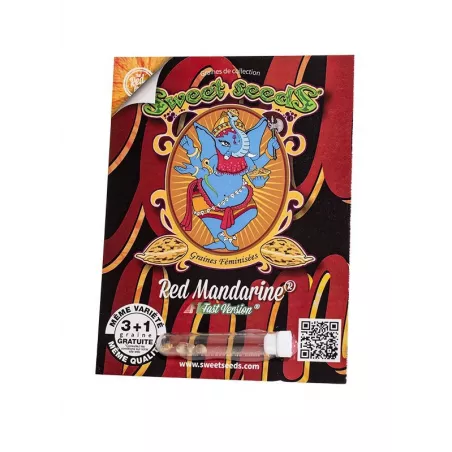 Red Mandarine F1 Fast Version – F1 Fast Version Sweet Seeds