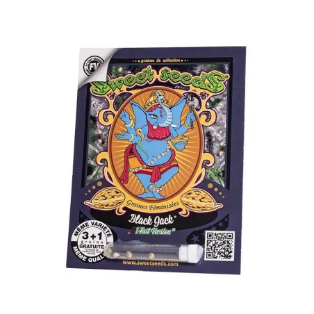 Black Jack F1 Fast Version – F1 Fast Version Sweet Seeds