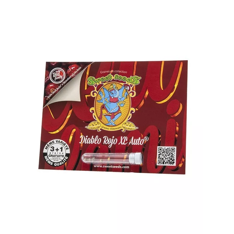 Diablo Rojo XL AUTO – Autofloraison Sweet Seeds