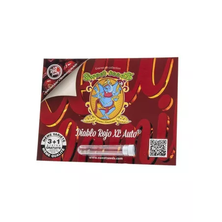 Diablo Rojo XL AUTO – Autofloraison Sweet Seeds