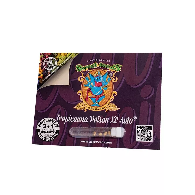Tropicanna Poison XL AUTO – Autoflowering Sweet Seeds