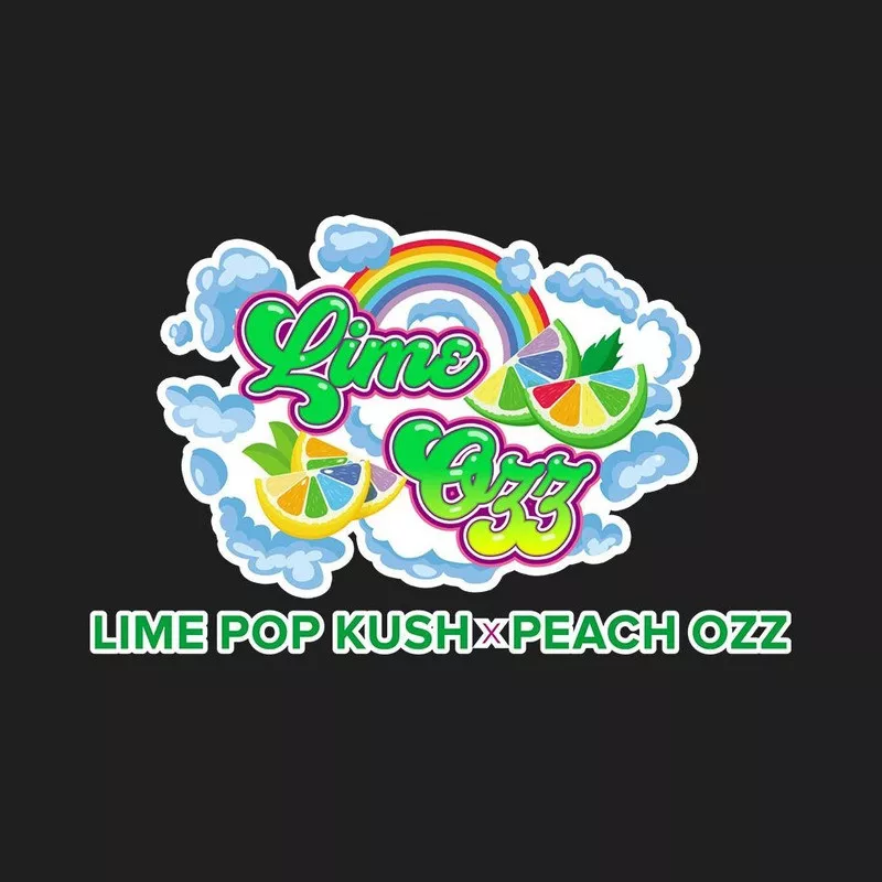 Lime Ozz - Perfect Tree Seeds