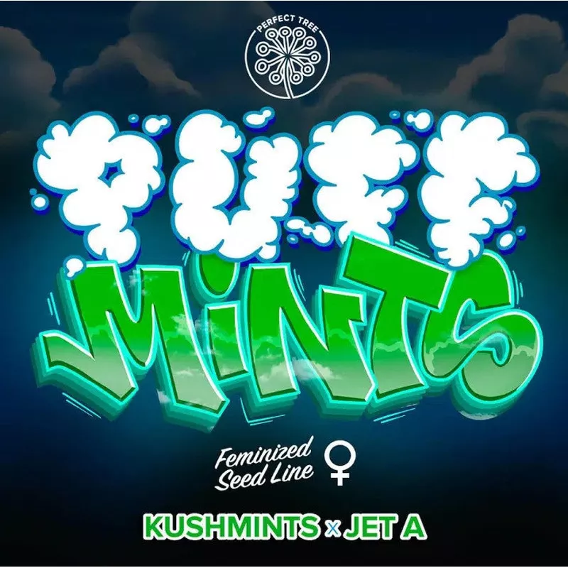 Puff Mints - Perfect Tree Seeds