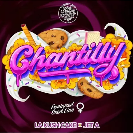 Chantilly - Perfect Tree Seeds