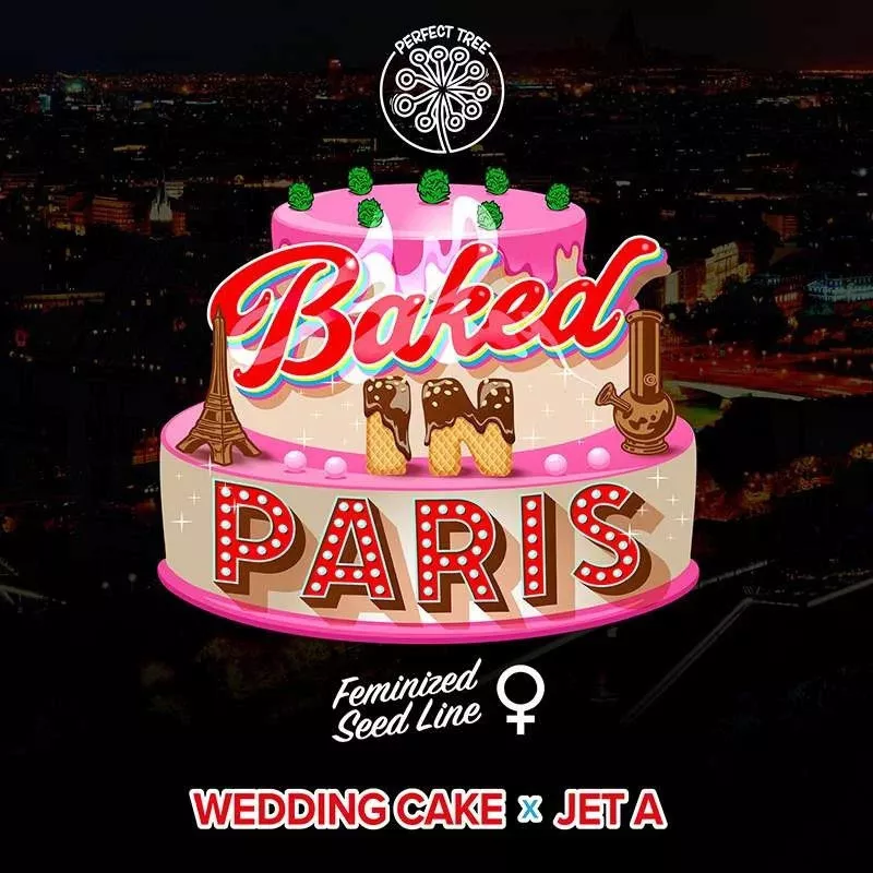 Baked In Paris - Perfect Tree Seeds