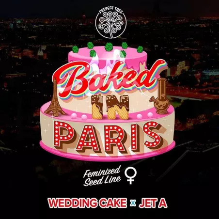 Baked In Paris - Perfect Tree Seeds
