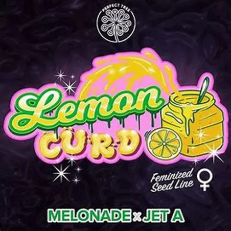 Lemon Curd - Perfect Tree Seeds