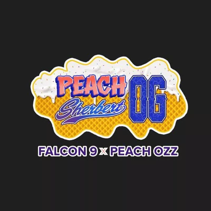 Peach Sherbet OG - Perfect Tree Seeds