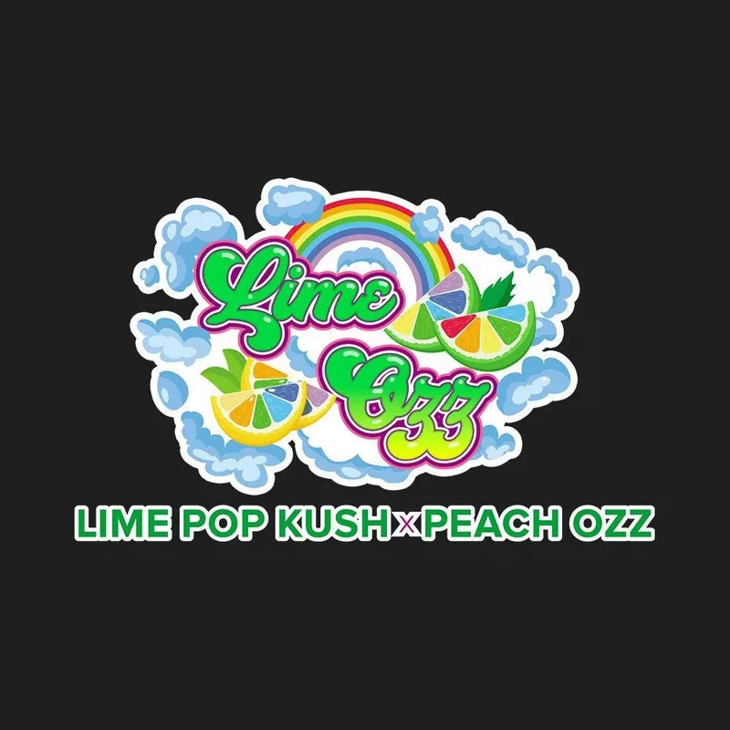 Lime Ozz - Perfect Tree Seeds