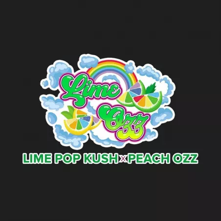 Lime Ozz - Perfect Tree Seeds