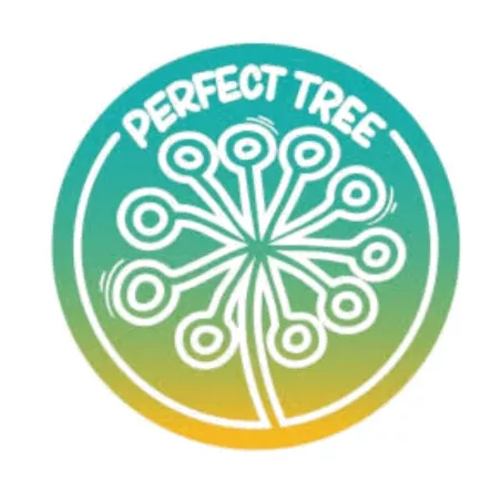 Coconut Chalice - Perfect Tree Seeds