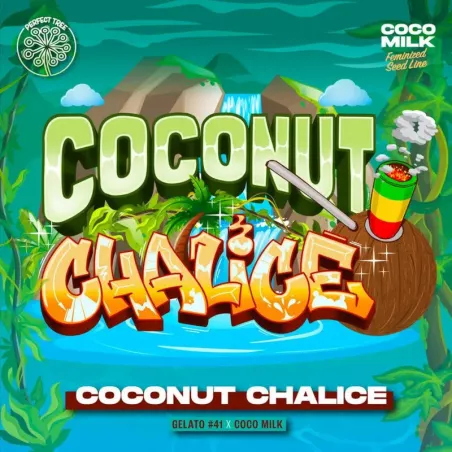 Coconut Chalice - Perfect Tree Seeds