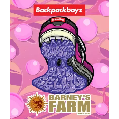 Bubblegum Gelato – Feminized Barney's Farm