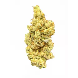 Pineapple Snowcone 7 – Fleur CBD – Qalimax