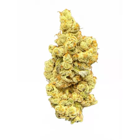 Pineapple Snowcone 7 – Fleur CBD – Qalimax