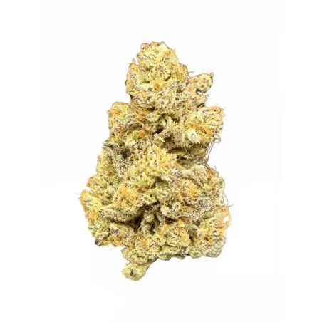 Cream Puff – Fleur CBD – Qalimax