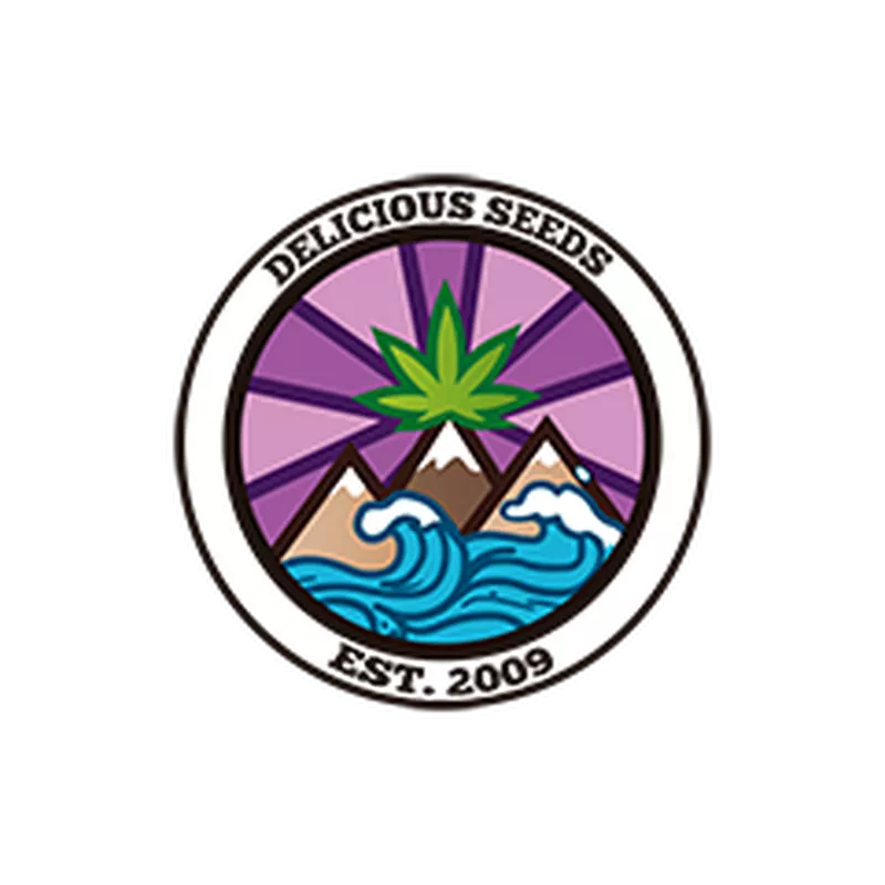 La Diva AUTO – Indica Auto Delicious Seeds