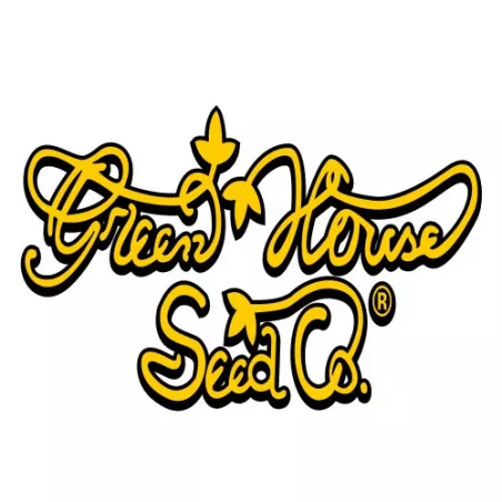 Gran Jefa – Feminised Green House Seed Co.