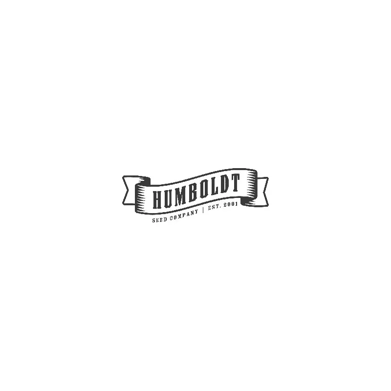 Blueberry Pancakes – Féminisée Humboldt Seed Company