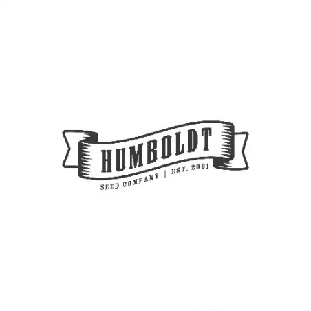 Blueberry Muffin – Féminisée Humboldt Seed Company