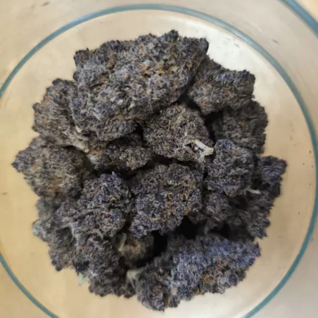 Tarmac – Fleur CBD – Weneed x Izno Farm