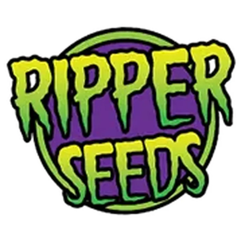 Brain Cake - Ripper Seeds | Les Jardins de Bouddha