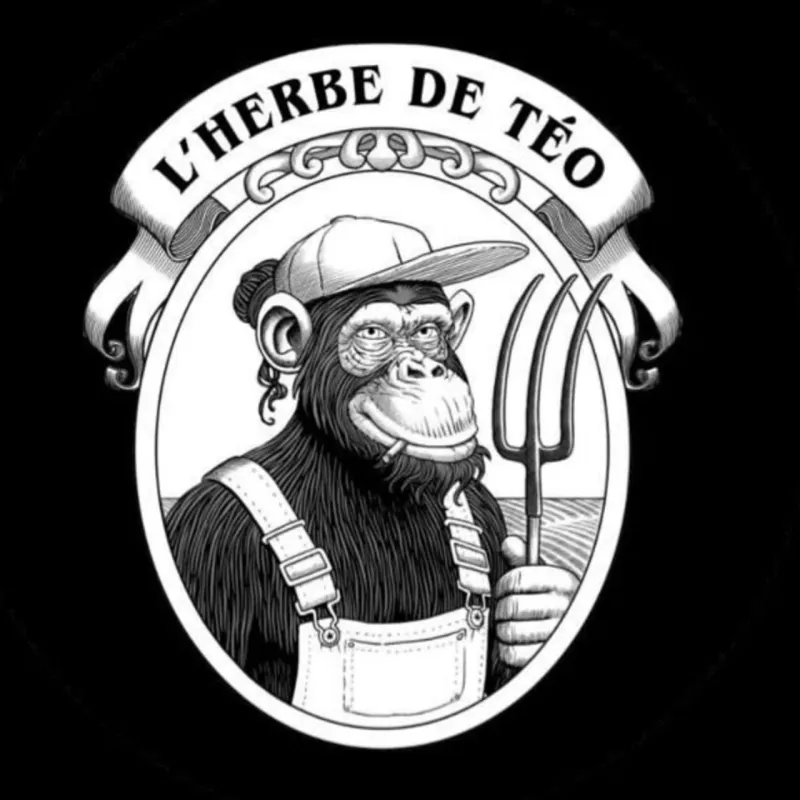 Legendary – Résine CBD 150µ – L'herbe de Théo