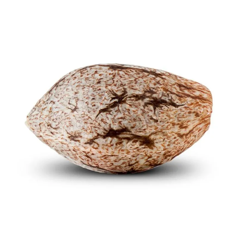 Toxic - Ripper Seeds